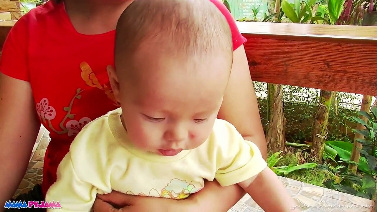 BREASTFEEDING CLOSE-UP VIDEO ☆ ทำอย่างไรให้ลูกดูดนมได้ การเลี้ยงลูกด้วยนมแม่