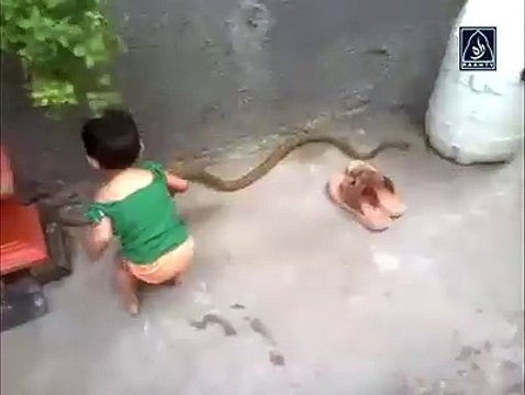 ye Bachy ki masomiyat hy ya bahaderi video daikhain