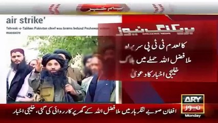 Master Mind Of APS Attack Killed - Ary News Headlines 26 January 2016
