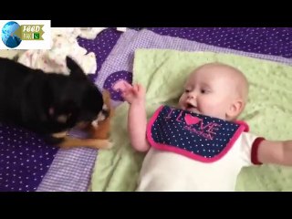 Cute Babies and Dogs | Feed Pak