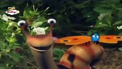 El Sr Caracol y Los Escarabajos