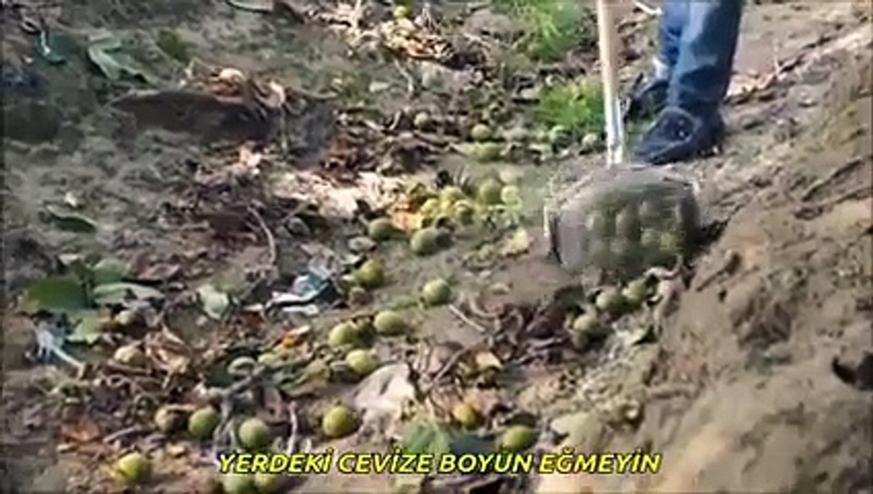 RULO YERDEN MEYVE, CEVİZ VB TOPLAMA ALETİ