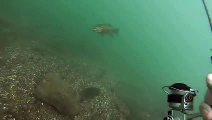 su altında oltayla balık nasıl tutulur