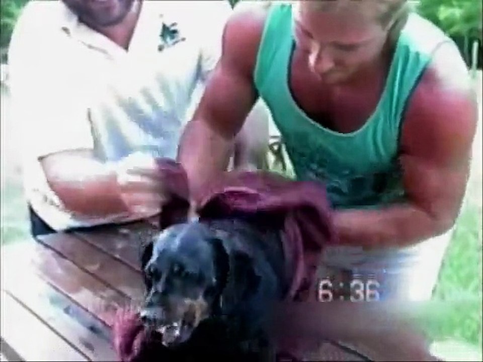 ☺ AFV Part 168 - (Funny Clips Fail Montage Compilation) - OrangeCabinet