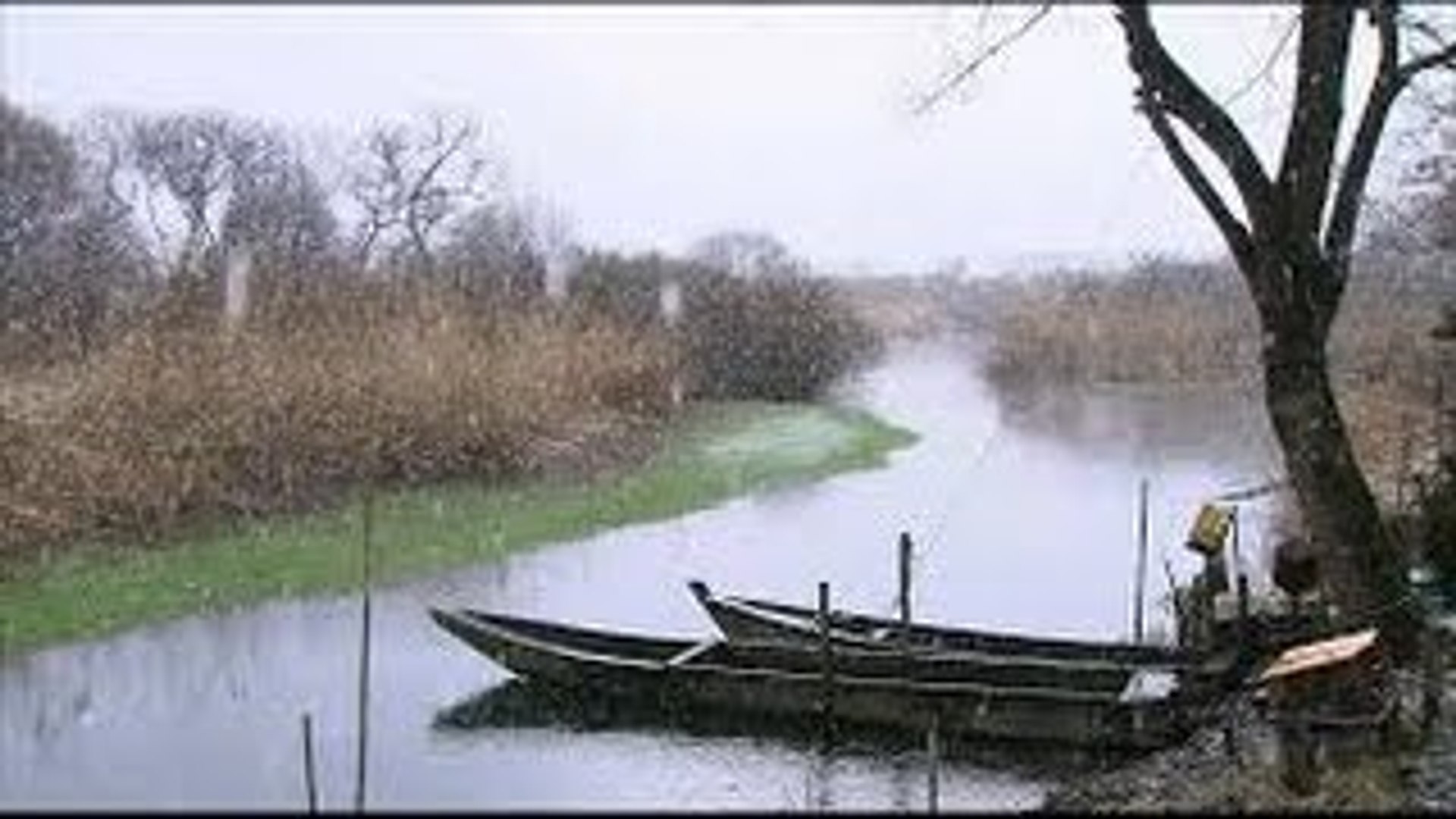 Wildlife Documentary: Japans Secret Water Garden (Japan Wildlife Documentary)