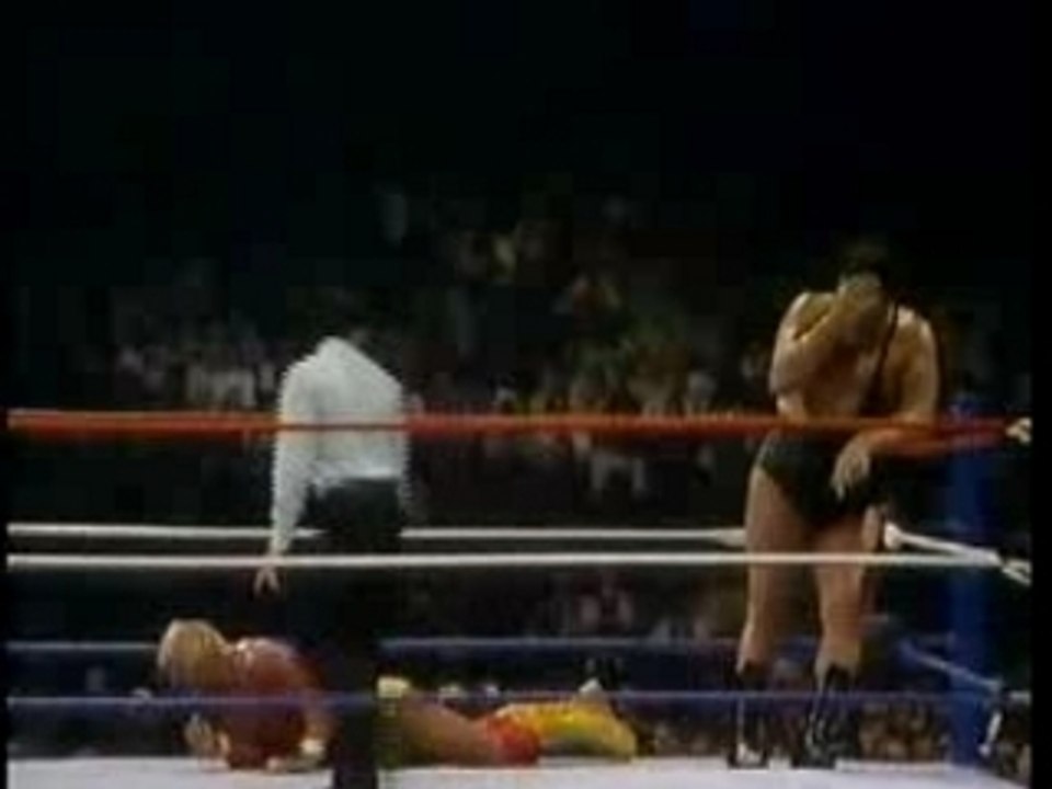 Wrestle mania iii