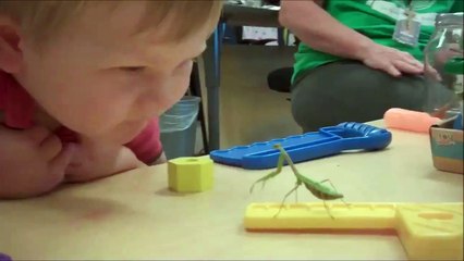 Boy Gets Scared By Praying Mantis