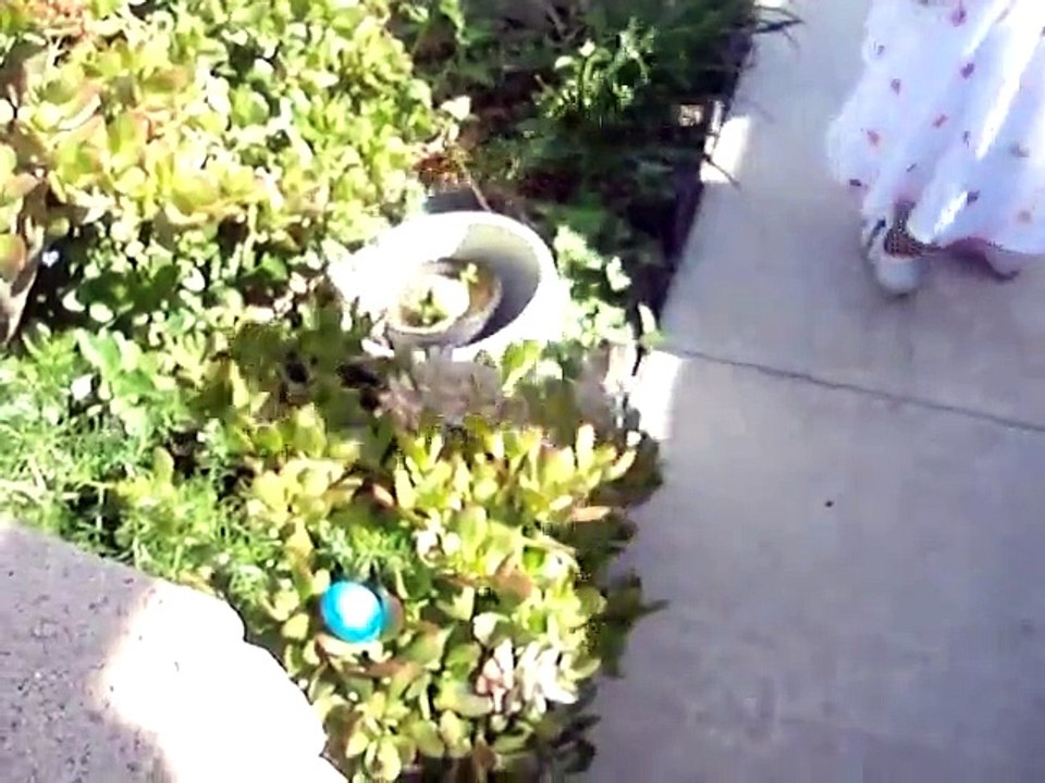 Earthquake Footage Easter 2010 - 04/04/2010 Biggest Earthquakes