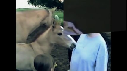 ☺ AFV Part 174 - (Funny Clips Fail Montage Compilation) - OrangeCabinet