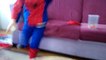 Örümcek Adam ( Spiderman ) Oyun Hamuru ile Küçük Ev Yapıyor