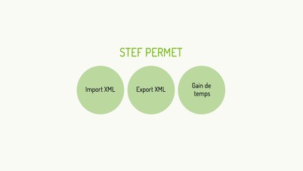 STEF format d'échange de données de tags structurés