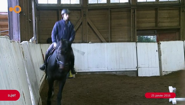 SUJET - Stage de saut d'obstacles pour les cavaliers du Manège