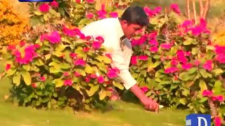 Innovative Farming in Haripur