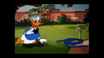 Donald Duck Donalds Garden , dessin animé en français, cartoons