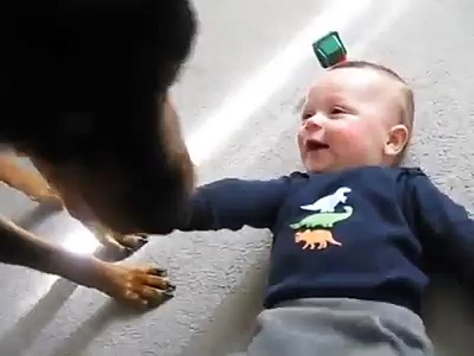 Rottweiler With His Best Friend Amazing
