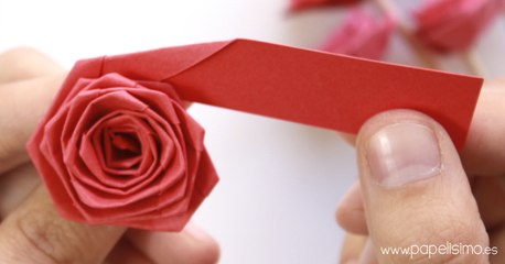 Flores de papel (rosas) | Paper flowers (roses)