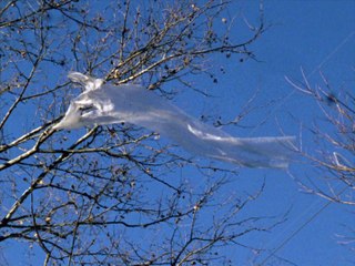 Bonnie Prince Billy - When Thy Song Flows Through Me (Official Video)