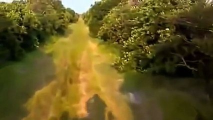 hog with rabies kills dog attacks guide and camera man