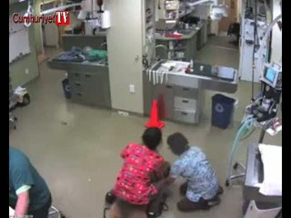 Sırtında veterinerle böyle kaçtı