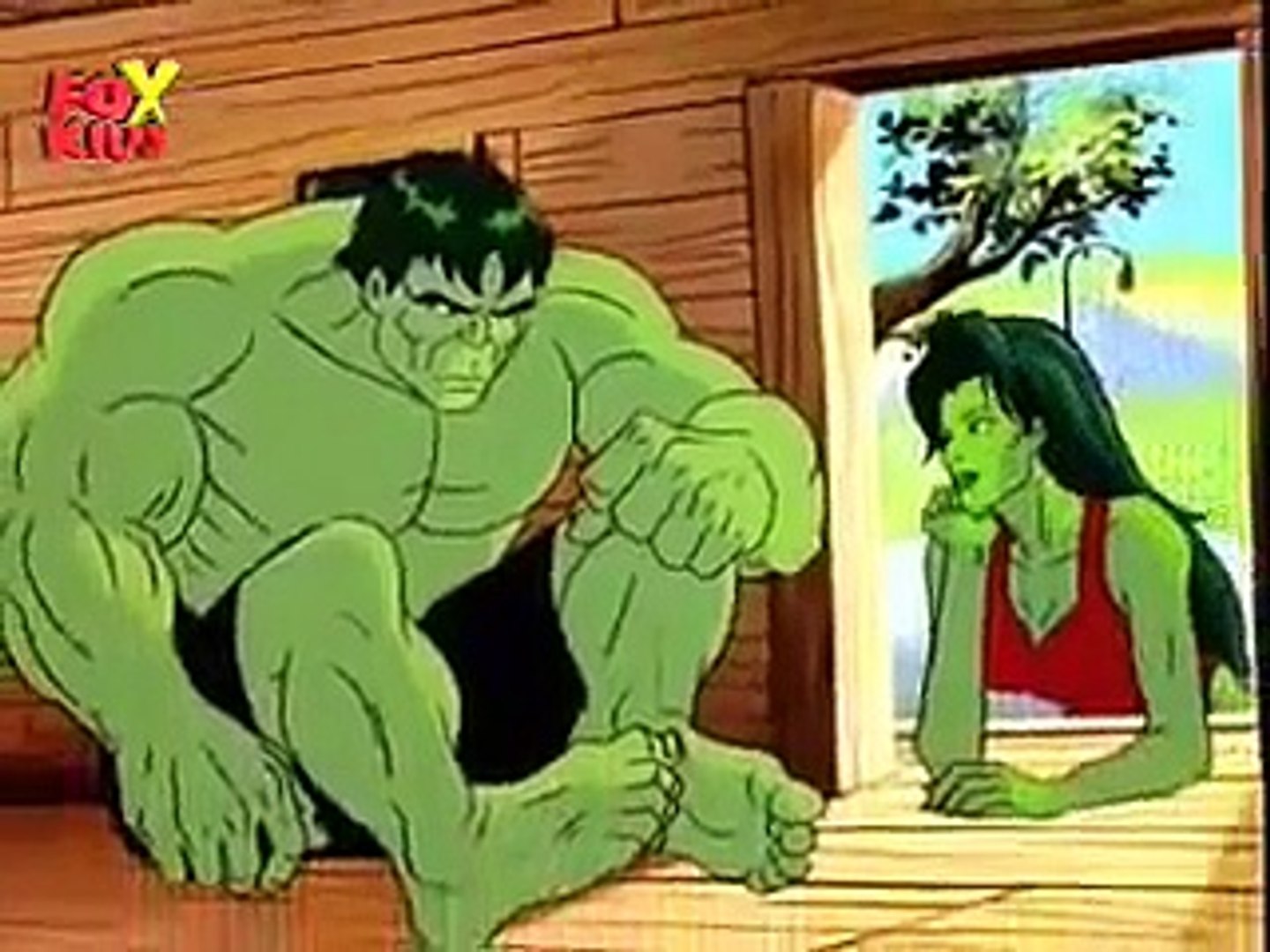 Hulk 1990s Cartoon Series - video Dailymotion