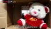 Life Bekar Hai- Cute Teddy Bear Singing Funny Hindi Song + Lyrics