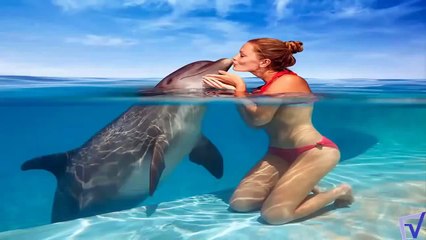 dolphin saves vs human saves dolphin ( show the difference ) HD
