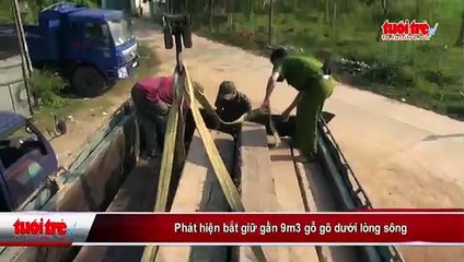 Phát hiện bắt giữ gần 9m3 gỗ gõ dưới lòng sông
