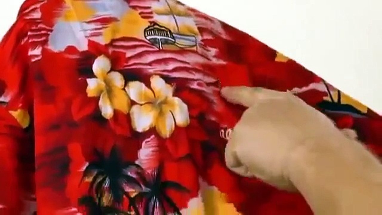 Kikaninchen Abenteuer  __   Neue Folge Nr. 19 SUPER