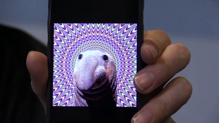 SMOSH DATING CONFESSIONS