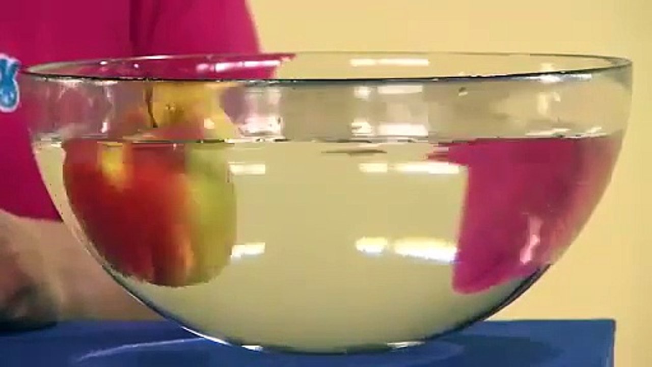 NEU - Kikaninchen - Warum können Äpfel schwimmen