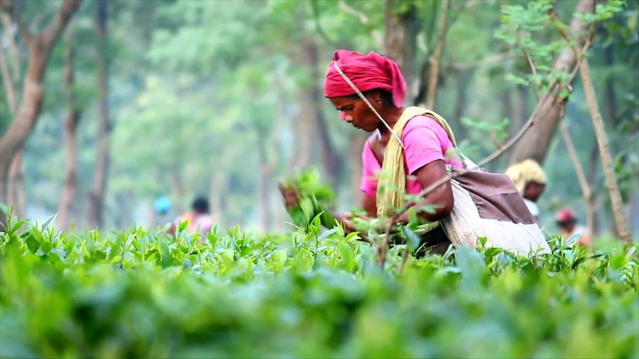 Une journée dans la vie d'un indien - Vivre en Inde