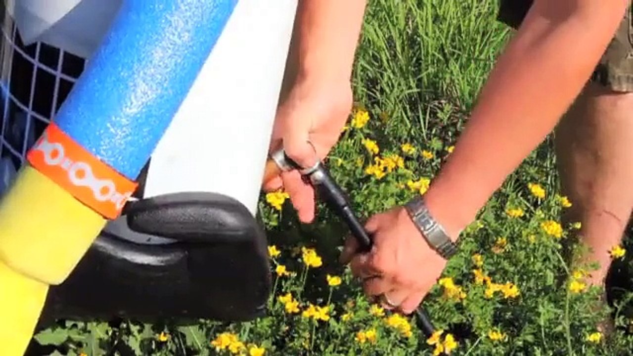 hitchBOT robot