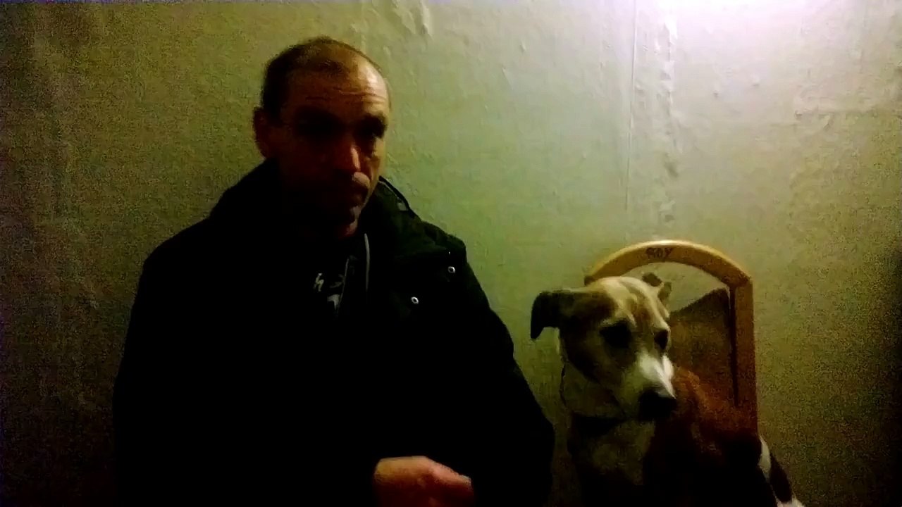 Dusty freut sich auf den Urlaub