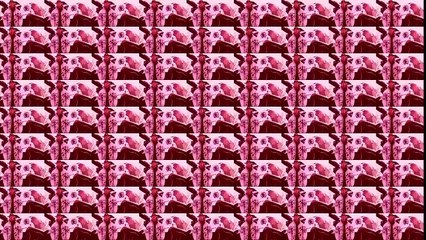 Новогодний рэп-обзор от Michael Frost [World of Tanks]