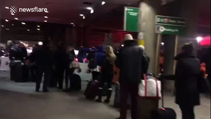 Insane taxi line amid traffic chaos at New York's LaGuardia Airport