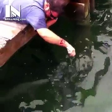 Fish Grabs Man's Arm