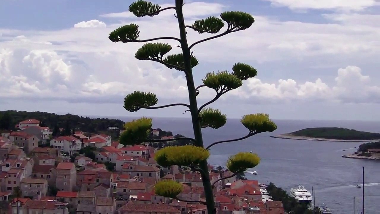 Hvar z Fortecy Spanjola