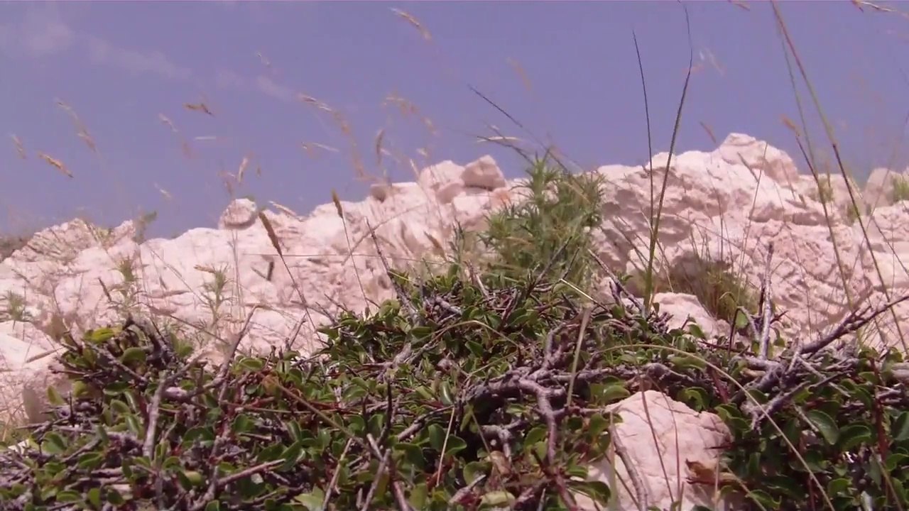 Przyroda w Chorwacji