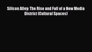 Silicon Alley: The Rise and Fall of a New Media District (Cultural Spaces)  Free PDF