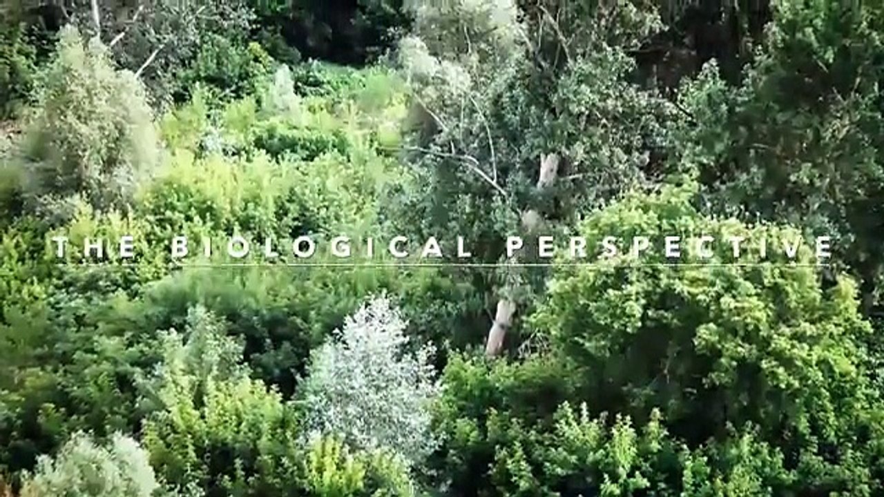 What Did You Experience Before You Were Alive_