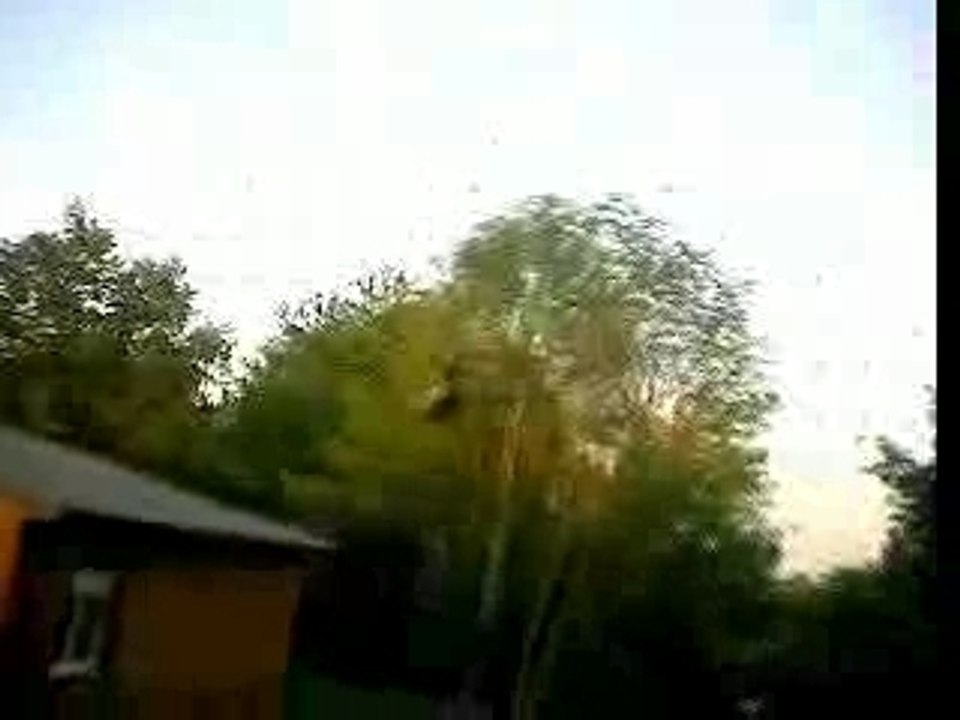 Eco film 1
