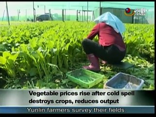 宏觀英語新聞Macroview TV《Inside Taiwan》English News 2016-01-26