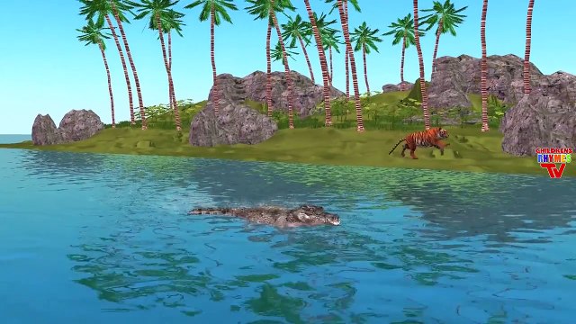 Tiger Cartoons For Kids Finger Family Rhymes | Crocodile Finger Family Children Nursery Rhymes