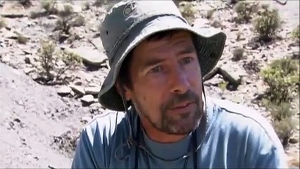 Mammal-Like Reptiles and the Permian Extinction