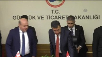 Türkiye ile Gürcistan Gümrükleri Arasında E-Tır Projesi İmzalandı