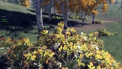H1Z1 BR #11 Part 3