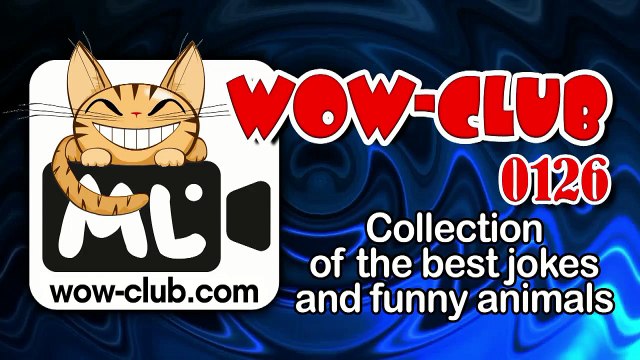 The Best Jokes and Funny Animals. Compilation WOW-club #0126