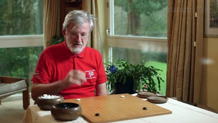 The computer that mastered Go