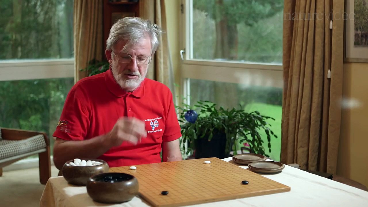 The computer that mastered Go