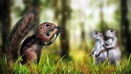 Funny animals  pictures  صور لحيوانات طريفة